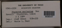 Image Associated With the Occurence